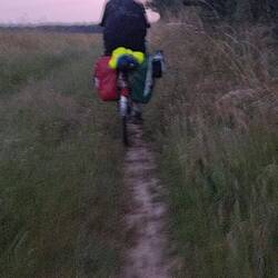 Chaos dans les champs