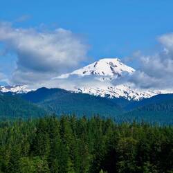 Mount Backer