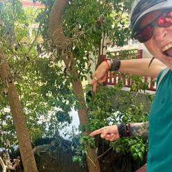 Varans et autres animaux se laissent apercevoir quand les touristes restent sous les clims 👌