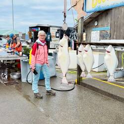 Der Dicke wiegt 36kg, Homer - Heilbuthauptstadt