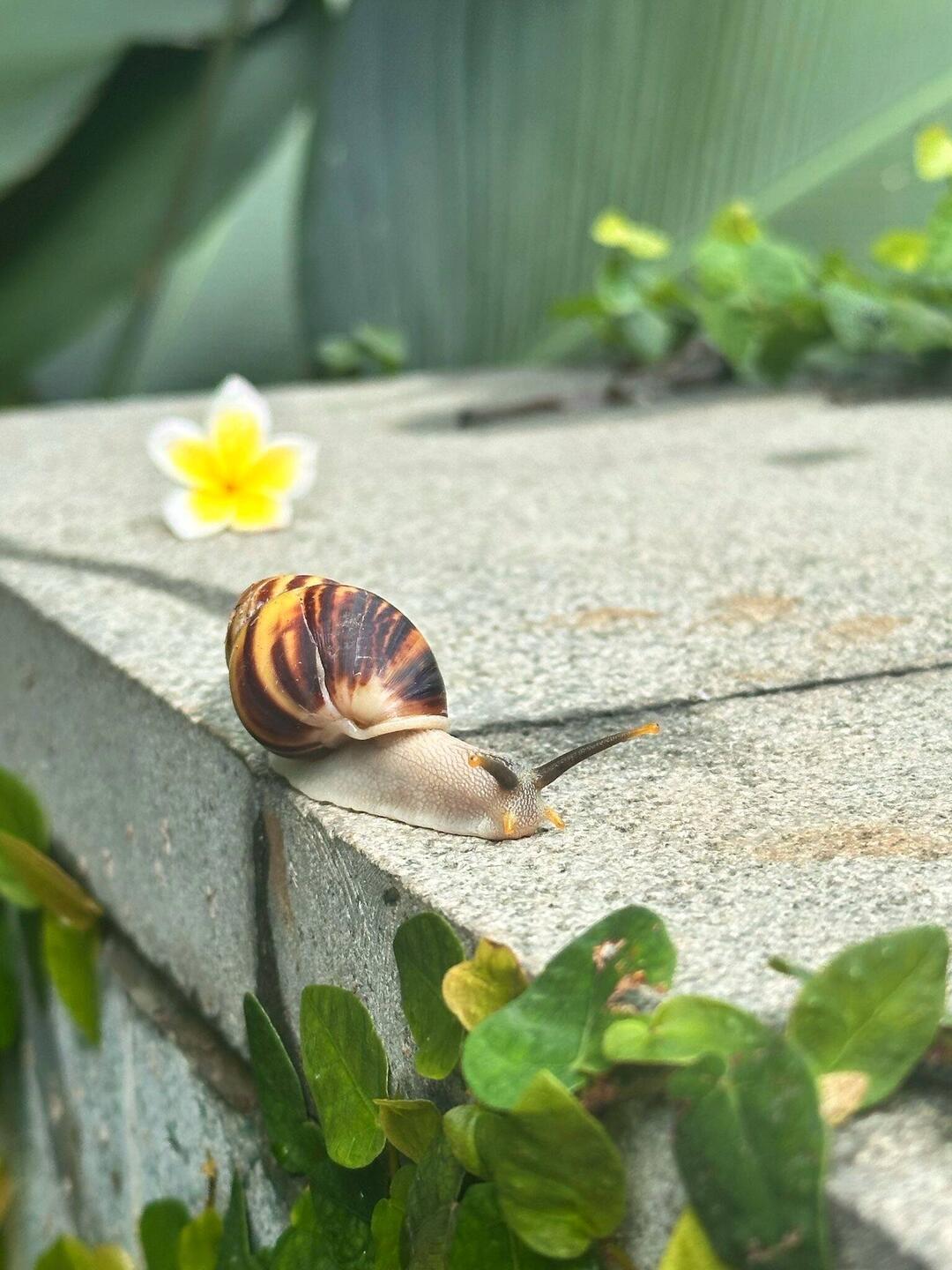 Besuch beim letzten Poolbad