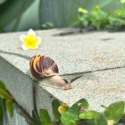 Besuch beim letzten Poolbad