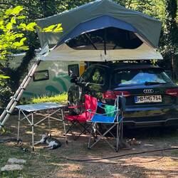 Unser Wachhund Rolf 🐈