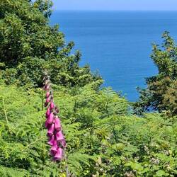 Am Pointe de Ruffélic