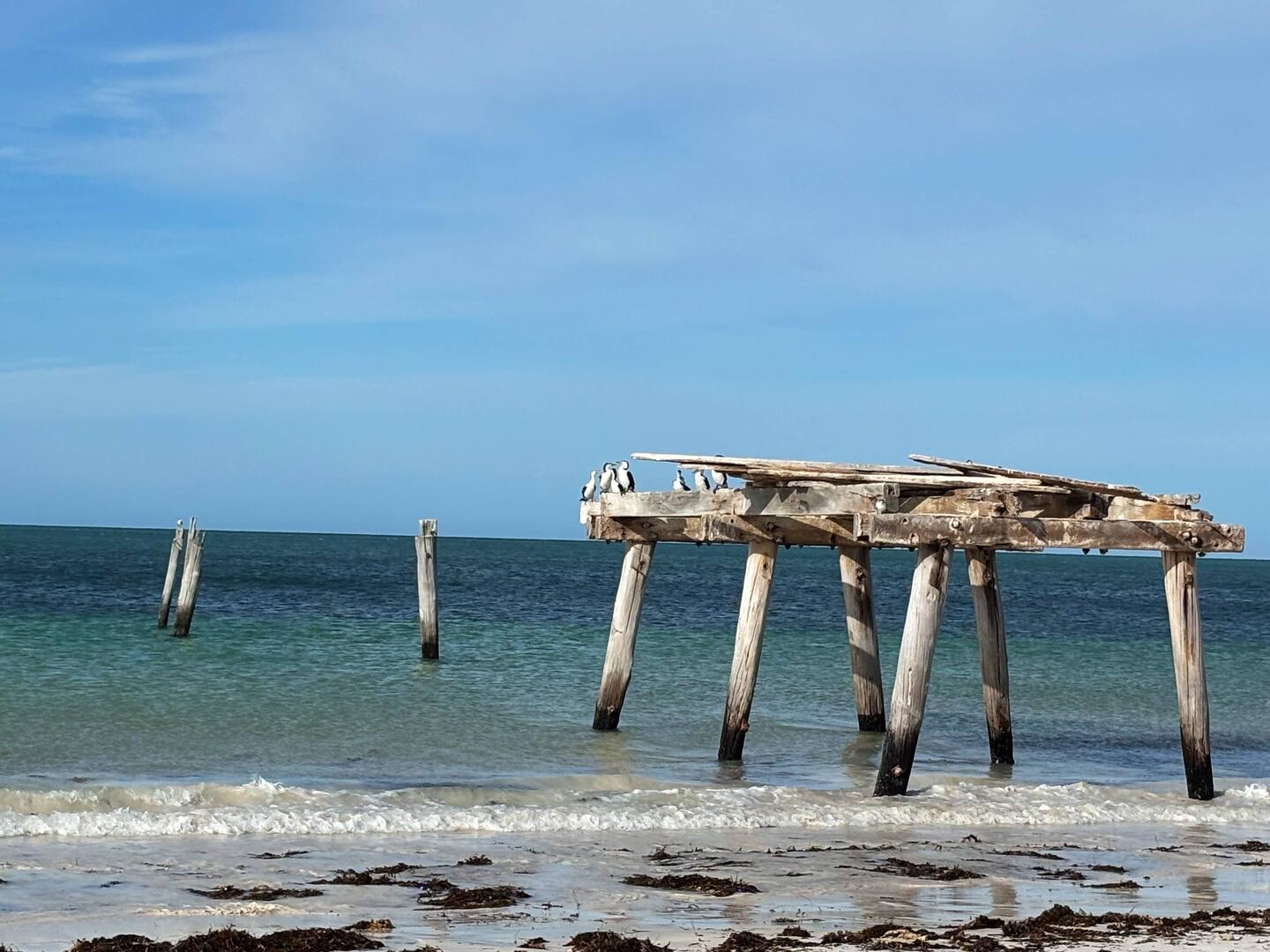 Eucla Jetty Beach