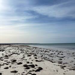 Eucla beach