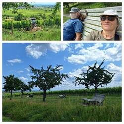 Erlau-Liegen laden zum Rasten und Gucken ein