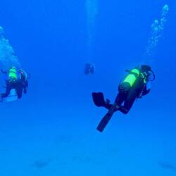 Alle leicht verwirrt auf dem Hinweg - einschließlich unseres Anführers 😬