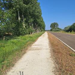 Looooong stretches of roadside walking today