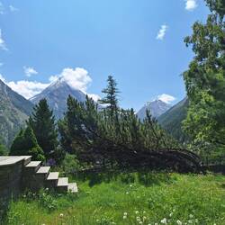 Früher sah man direkt auf die gegenüber liegenden Berge