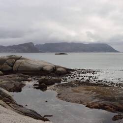 Rund um den Boulders Beach...