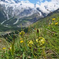 Verschwindend klein... man muss sie suchen....