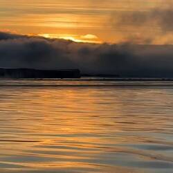 Liquid Gold — Weddell Sea, Antarctica.