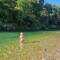 River infront of van.