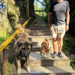 Wir haben mal wieder einen Begleiter 🥰
