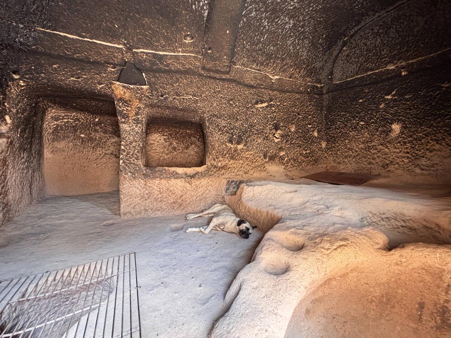 Wir lassen den Hund in der ehemaligen Winzer rein ruhig weiterschlafen