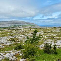 Burren National Park