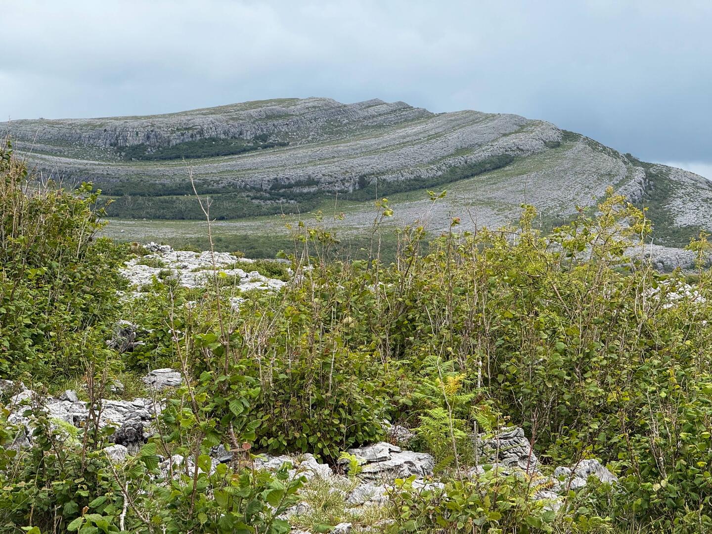Mullaghmore Hill