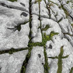 Cracked by mountain-building pressure and eroded by rain