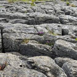 Limestone landscape