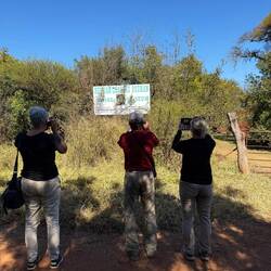 Hier sehen wir drei Exemplare der Gattung "Klicken macht frei!" bei der Ausübung ihrer Leidenschaft.