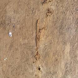 Der ultimative Feind von Kuhmist und gestampfter Erde: Weiße Ameisen! Die fressen sich durch alles.