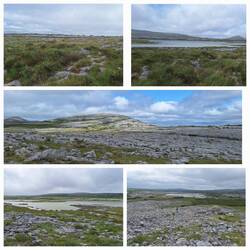 Views of the lake on the walk