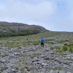 Rocks and more rocks