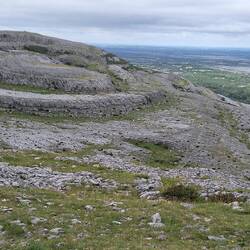 Fossilized cinnamon bun