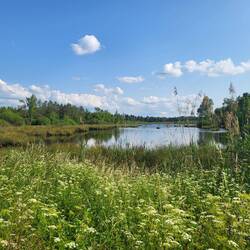 Endlich auf dem Rad.