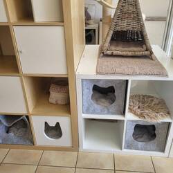 😾 :"das sieht nach Massenunterkunft aus"!