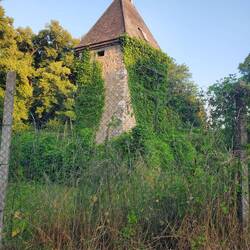 Le pigeonnier d'Alexia