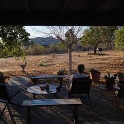 Abendstimmung mit Hummingbirds und Präriehunden, von ferne heulen die Koyoten
