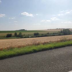 Campagne