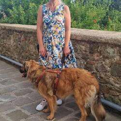 Bajou war wieder so toll