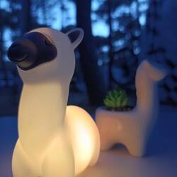 🦙-Power oder Power-🦙