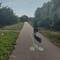 Piste cyclable incroyable mais longue de 100m