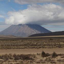 Altiplano mit Vulkan Misti