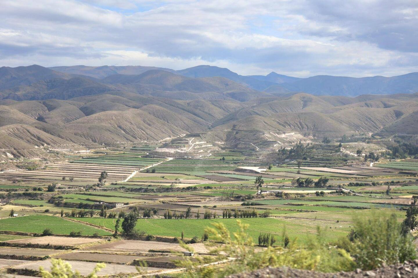 Fruchtbares Andental