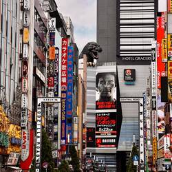 Godzilla lebt auch hier auf dem 8.Stock