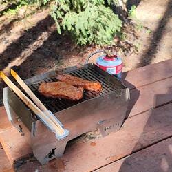 Skotti in Höchstform