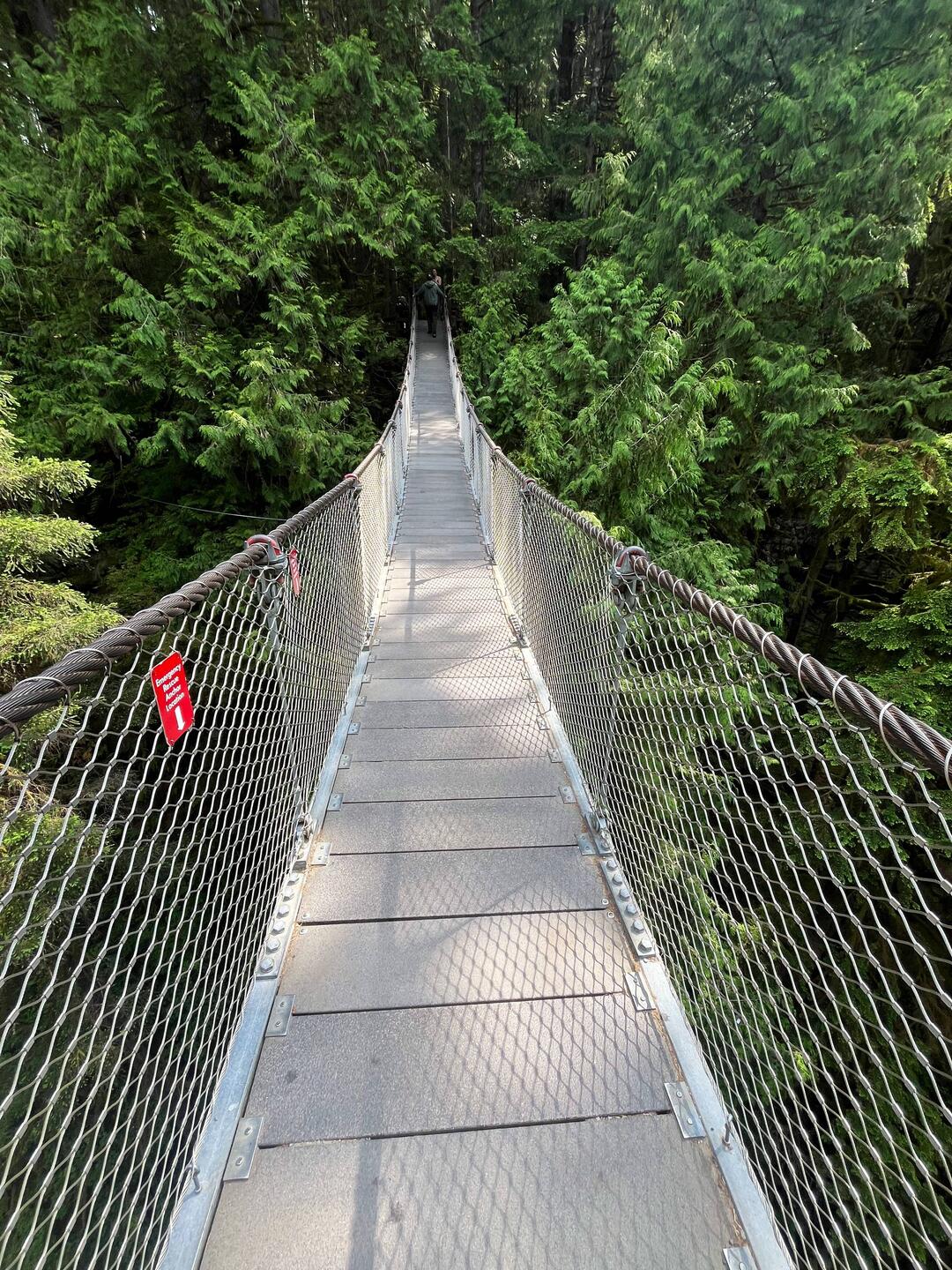 Lynn Canyon Bridge North Vancouver