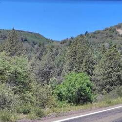 Wir kommen immer höher