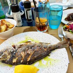 Frische Meerbrasse vom Grill für mich 😋