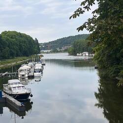 Rheinlache Koblenz, hinten der Rhein