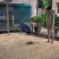 Demonstration how to look for landmines