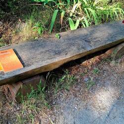 Een paar kilometer lang... iemand legde allerhande boeken op iedere rustbank. Prachtidee