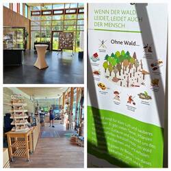 Viele Infos zum Thema und kleiner netter Shop