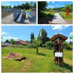 Haus der Nachhaltigkeit mit Dachterrasse und Bienenhotel