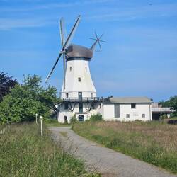 Auch hier in Schleswig-Holstein gibt es Windmühlen